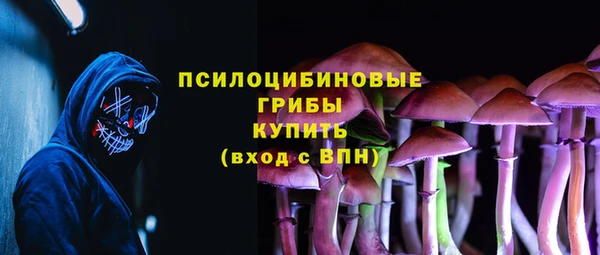 твердый Осинники
