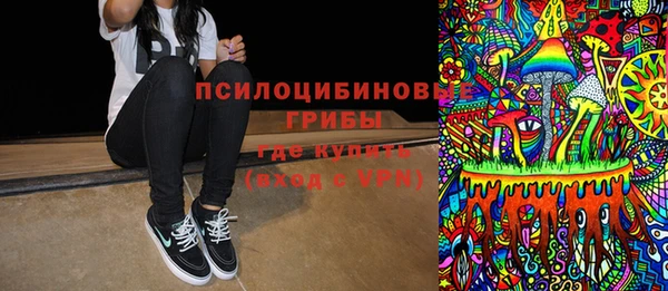 индика Переславль-Залесский
