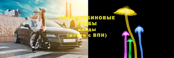 круглые Пестово