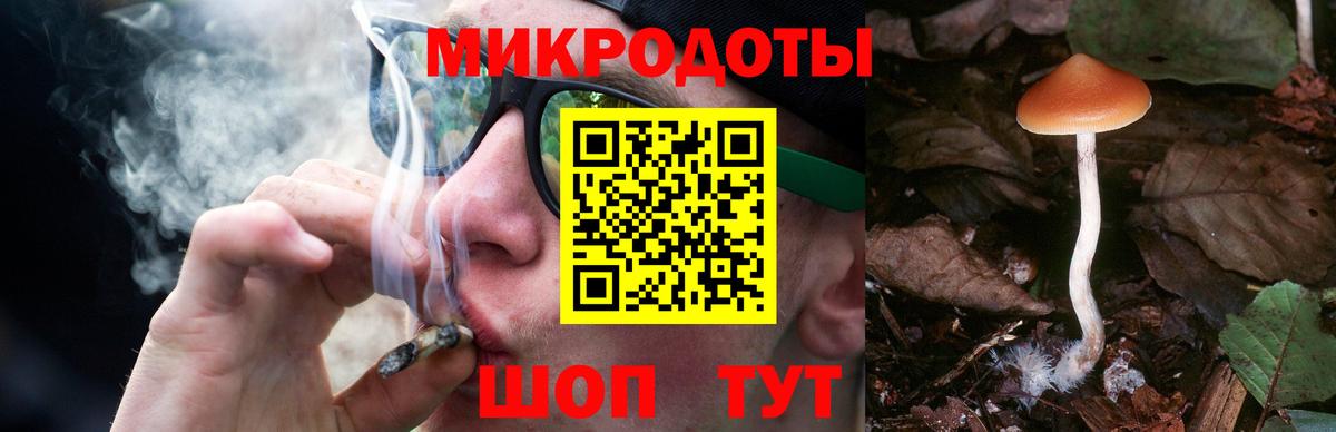 Галлюциногенные грибы прущие грибы  Вход с VPN  Соль-Илецк 